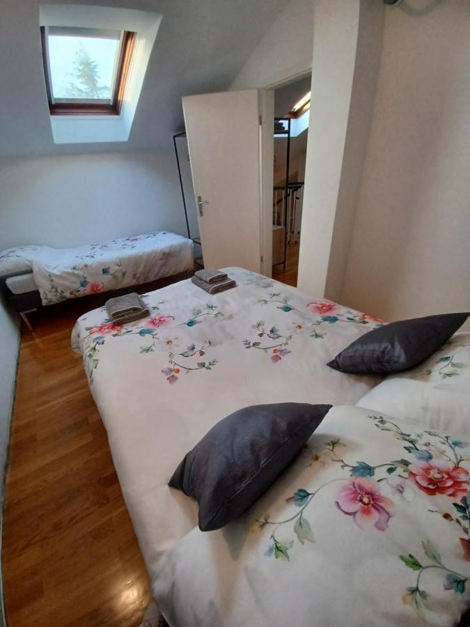 Stunning New In Centre Of * Buzet